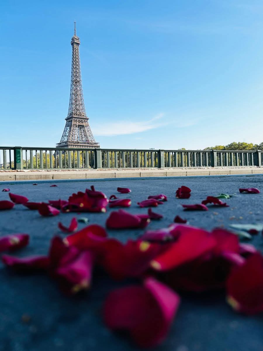 Eiffel Roses